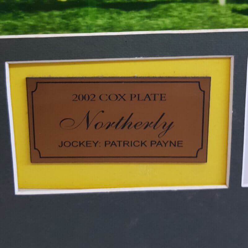 2002 Cox Plate Northerly Signed Patrick Payne + COA #48870