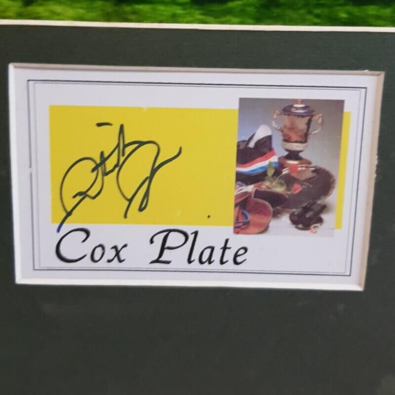 2002 Cox Plate Northerly Signed Patrick Payne + COA #48870