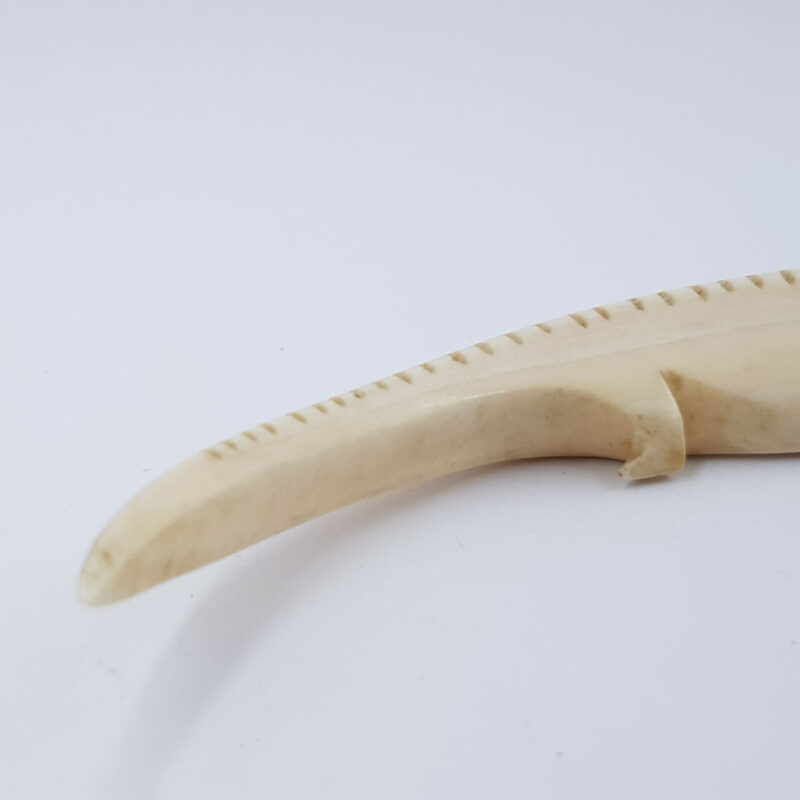 HAND MADE CROCODILE CARVING BOAR TUSK FIGURINE #46577