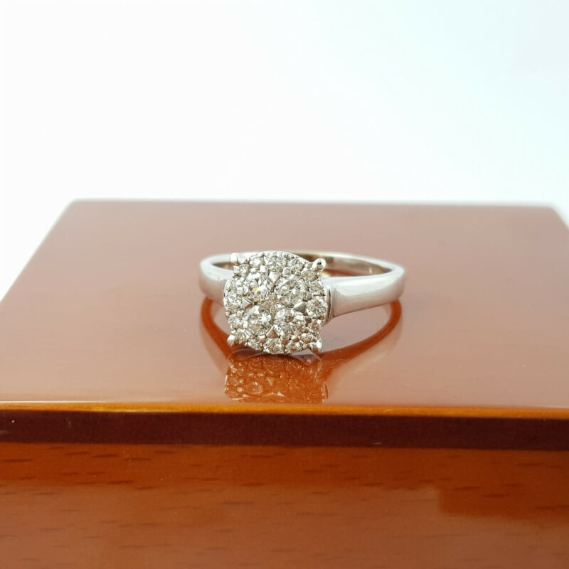 10ct White Gold 0.65ct Diamond Cluster Ring Val $3150 #53107