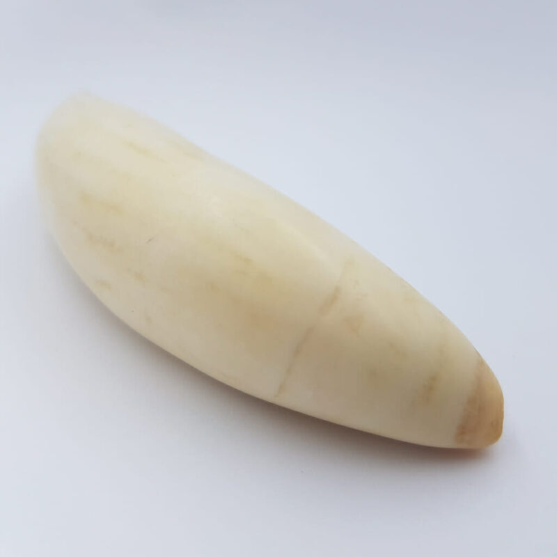 Antique Whale Tooth #57592