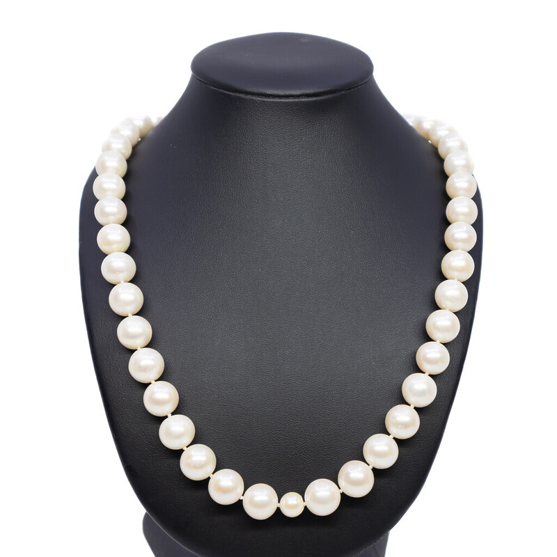 Large Freshwater Pearl Necklace with Silver Clasp 53cm #57715