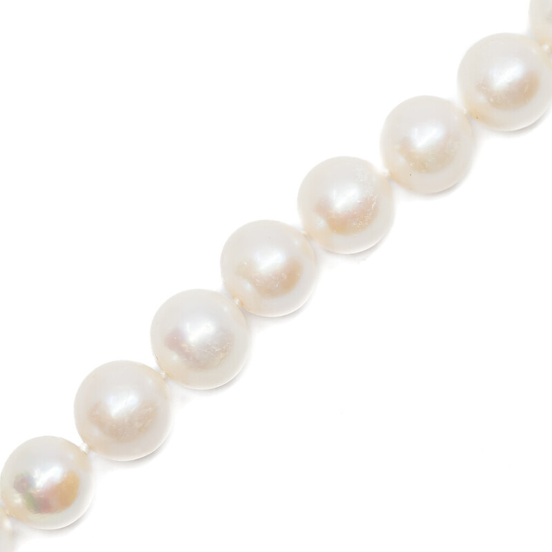 Large Freshwater Pearl Necklace with Silver Clasp 53cm #57715