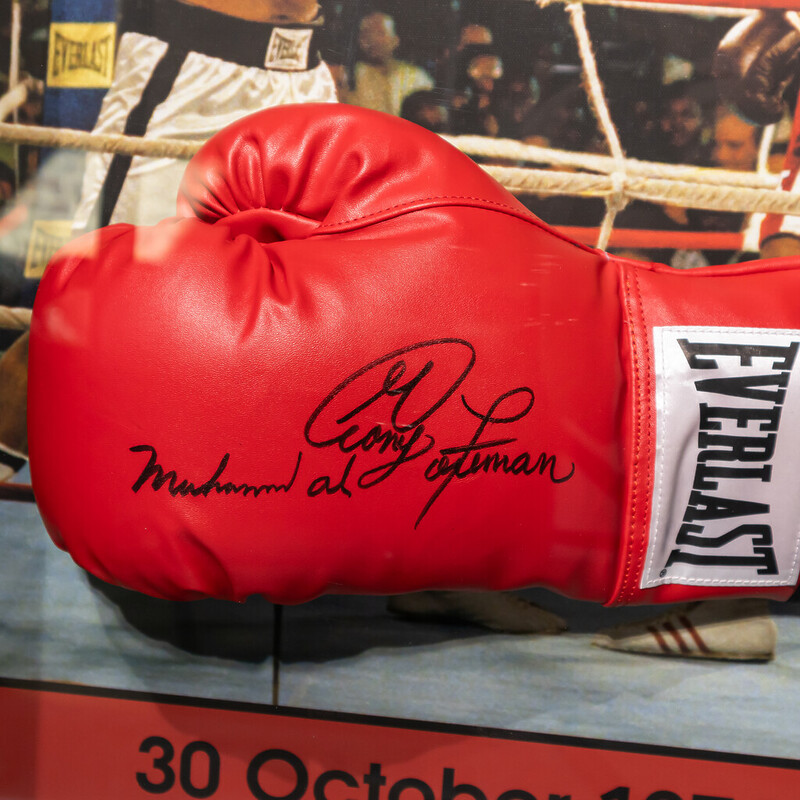 Muhammad Ali & George Foreman Signed Glove Rumble In The Jungle Framed + COA #62096