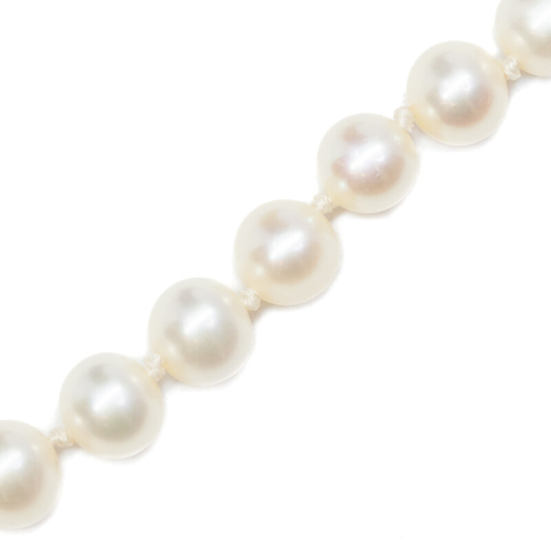 Freshwater Pearl Strand Necklace 50cm with 14ct Yellow Gold Clasp #55988