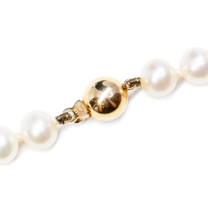 Freshwater Pearl Strand Necklace 50cm with 14ct Yellow Gold Clasp #55988