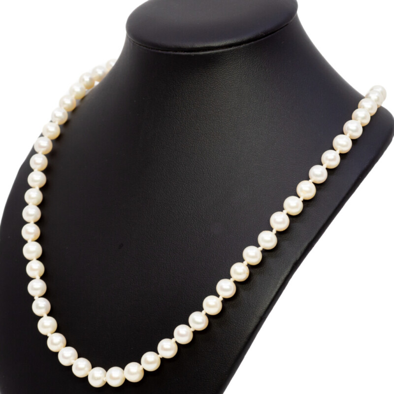 Freshwater Pearl Strand Necklace 50cm with 14ct Yellow Gold Clasp #55988