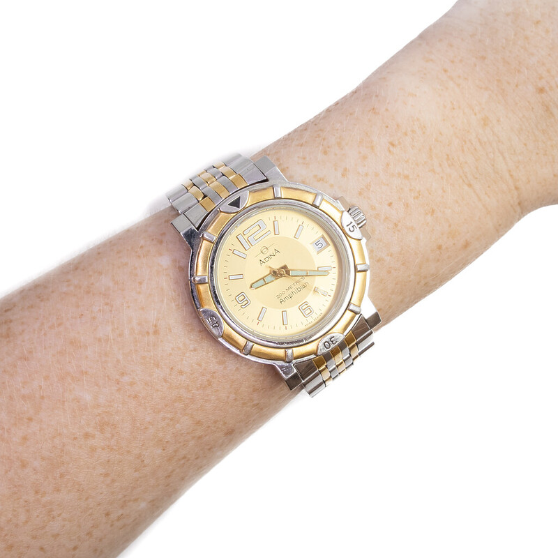 Adina 2-Tone Quartz Amphibian Dive Watch CM113 RRP $499 #62942