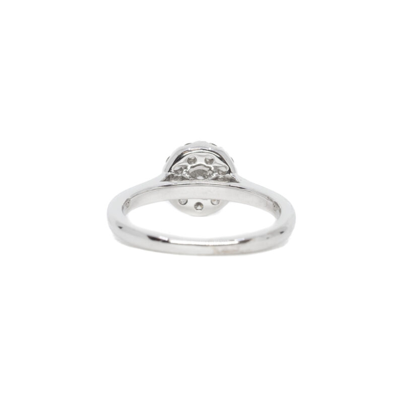 Australian Argyle Round Diamond Cluster Ring in 18ct White Gold + Cert / Receipt #62946