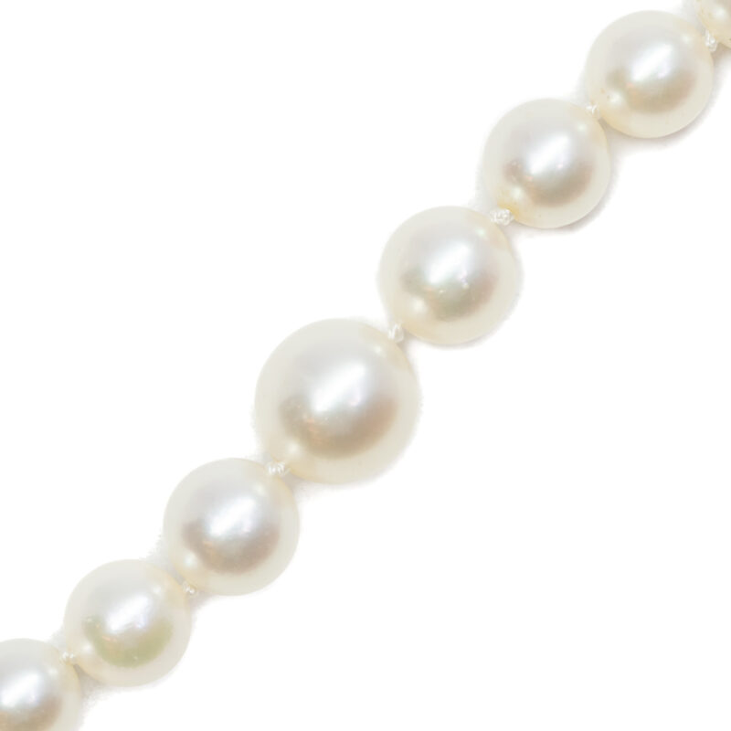 Akoya Cultured Pearl Strand Necklace with 9ct Gold Clasp 38cm + Val $2500 #55895