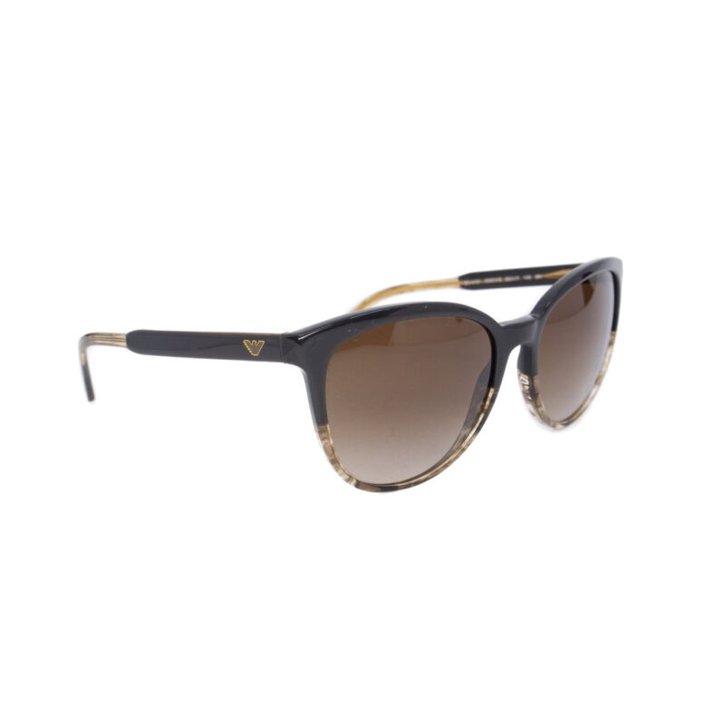 Emporio Armani Sunglasses EA4101 in Case #63579