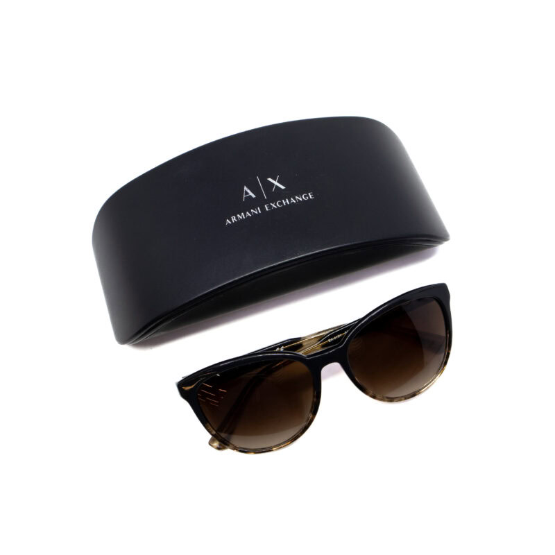 Emporio Armani Sunglasses EA4101 in Case #63579