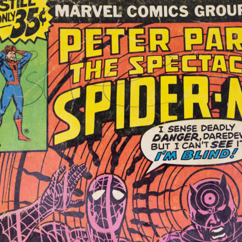 Peter Parker The Spectacular Spider-Man #27 1979 Marvel Newsstand #64519-7