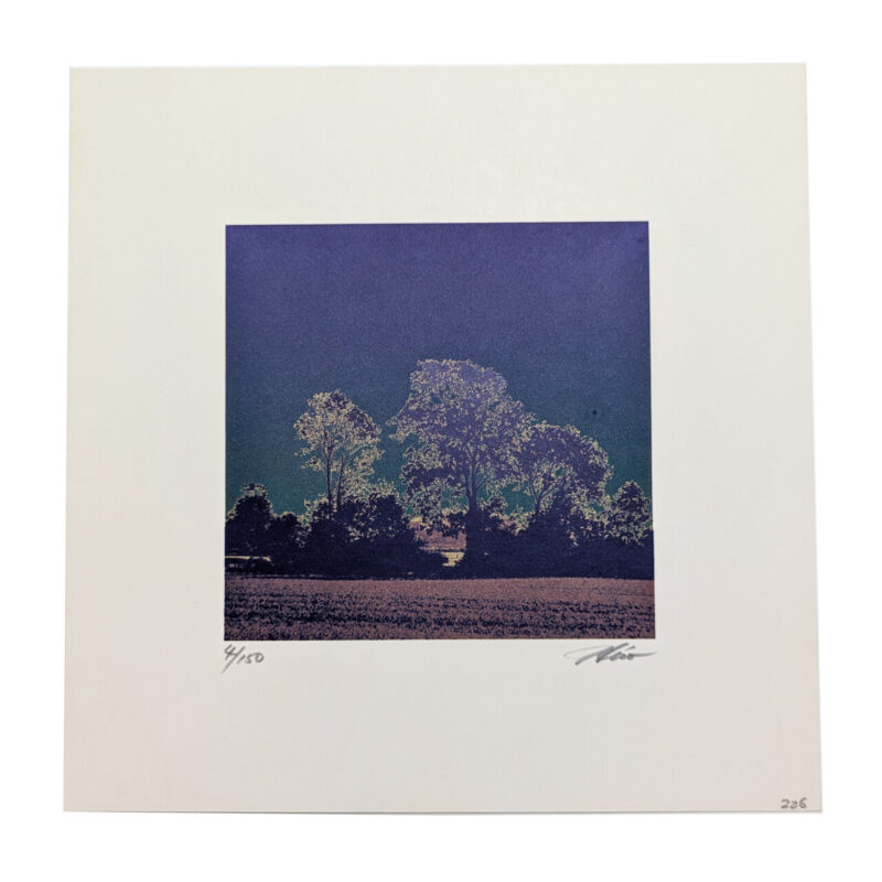 Tree Landscape Silkscreen by Hiroshi Shimura | Hand Signed | Limited Edition #64770