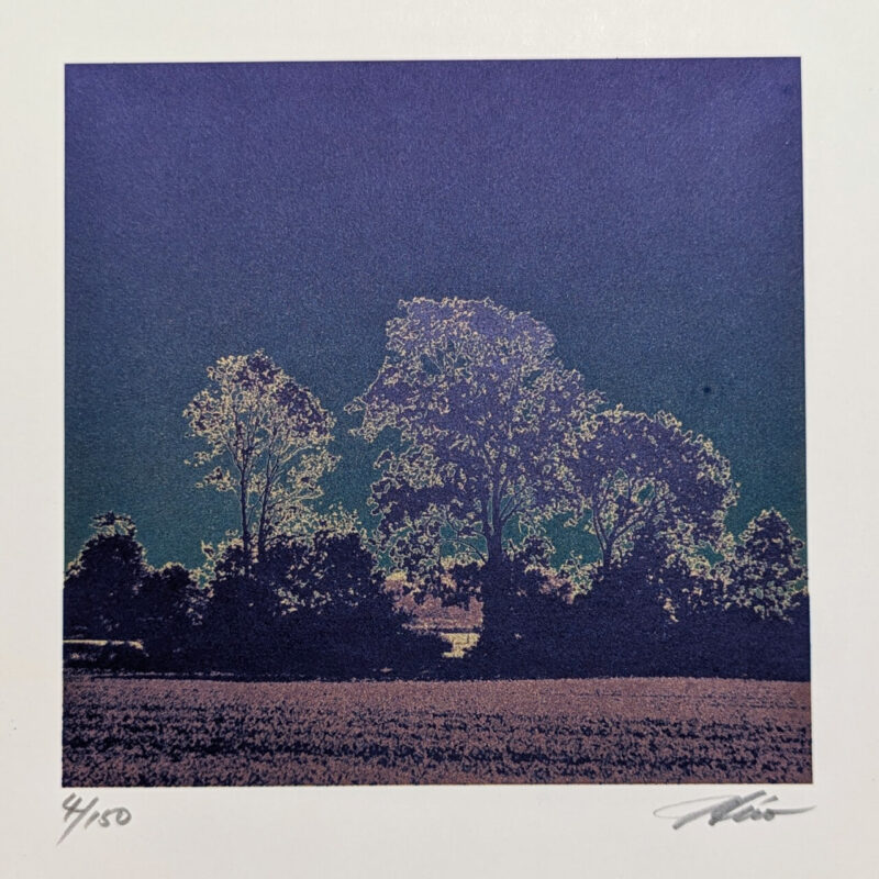 Tree Landscape Silkscreen by Hiroshi Shimura | Hand Signed | Limited Edition #64770