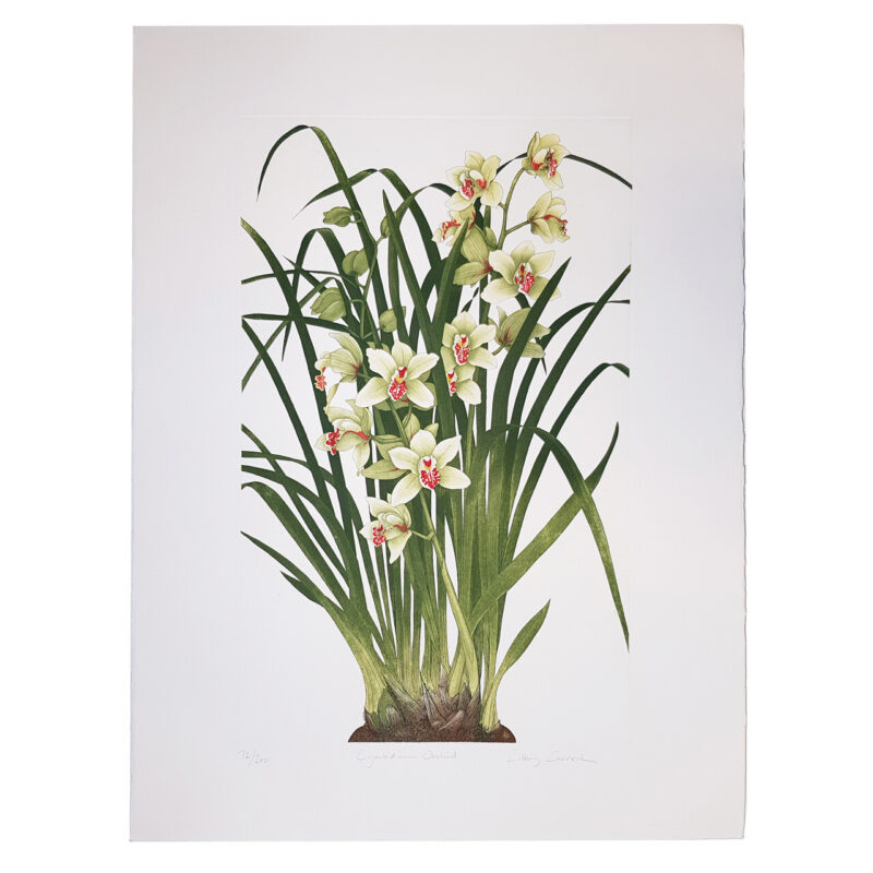 Libby Carreck Cymbidium Orchid Flowers Print 72/200 | Hand Signed #64865