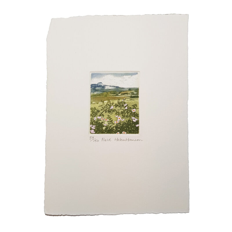 3x Nature Landscapes with Flowers Etchings by Helen Hanson | Hand Signed #64690