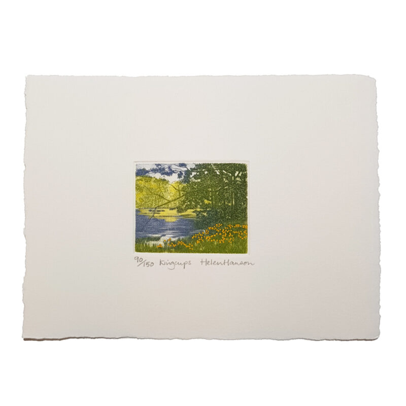 3x Nature Landscapes with Flowers Etchings by Helen Hanson | Hand Signed #64690