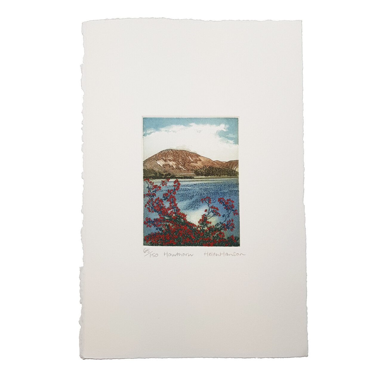3x Nature Landscapes Etchings By Helen Hanson Hand Signed 64692 