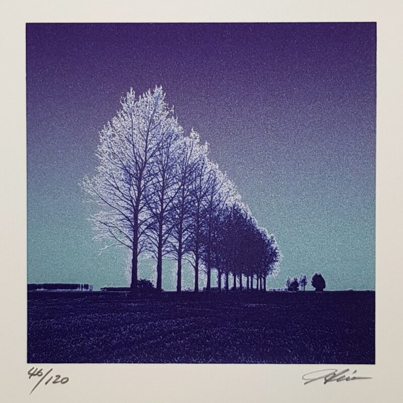 Breeze Minuet Tree Landscape Silkscreen by Hiroshi Shimura | Hand Signed #64698 - Image 2