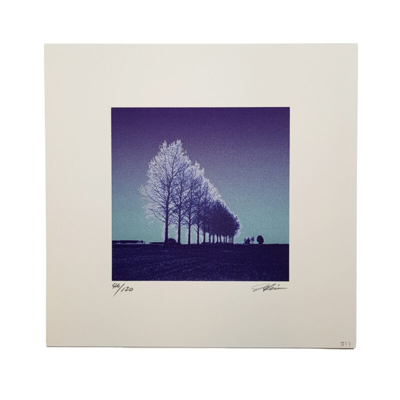 Breeze Minuet Tree Landscape Silkscreen by Hiroshi Shimura | Hand Signed #64698