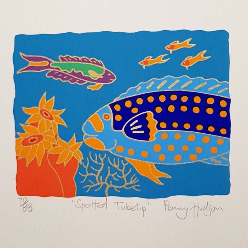 Spotted Tubelip Fish Colourful Limited Print by Penny Hudson | Hand Signed #64708