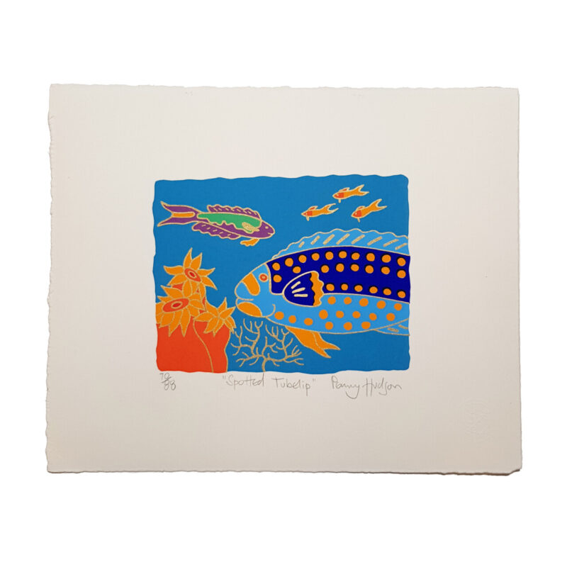 Spotted Tubelip Fish Colourful Limited Print by Penny Hudson | Hand Signed #64708