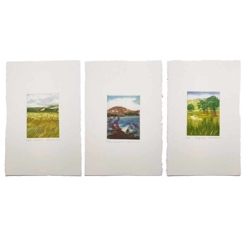 3x Nature Landscapes Etchings by Helen Hanson | Hand Signed #64691