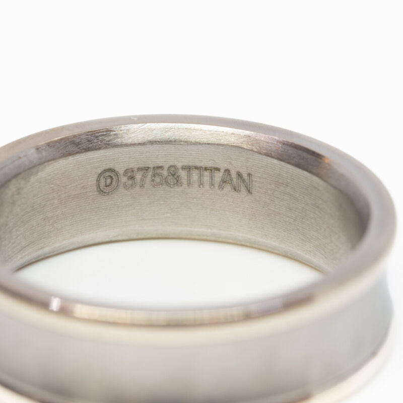 Titanium & 9ct White Gold Band Ring Size R #64903