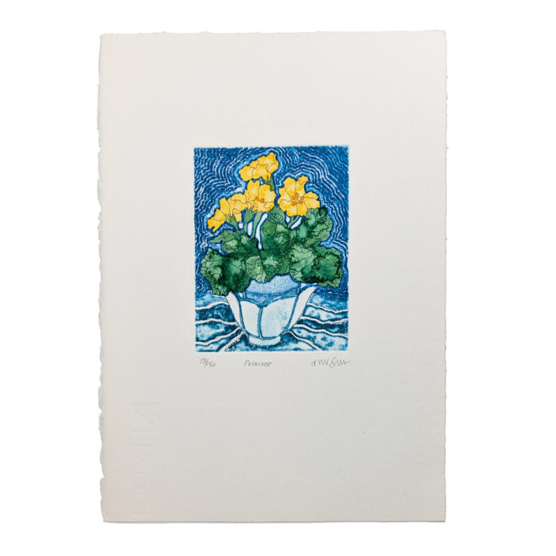 Tanya Short Primrose Limited Edition of 150 Flowers Print | Hand Signed #64841