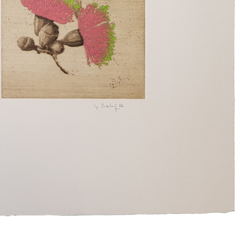 Yannick Ballif Flowers Set of 3 Aquatint on Wove Paper Print | Hand Signed #64757 - Image 4