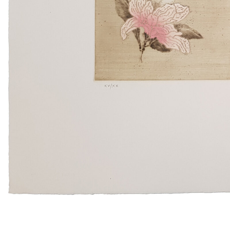 Yannick Ballif Flowers Set of 3 Aquatint on Wove Paper Print | Hand Signed #64757 - Image 3