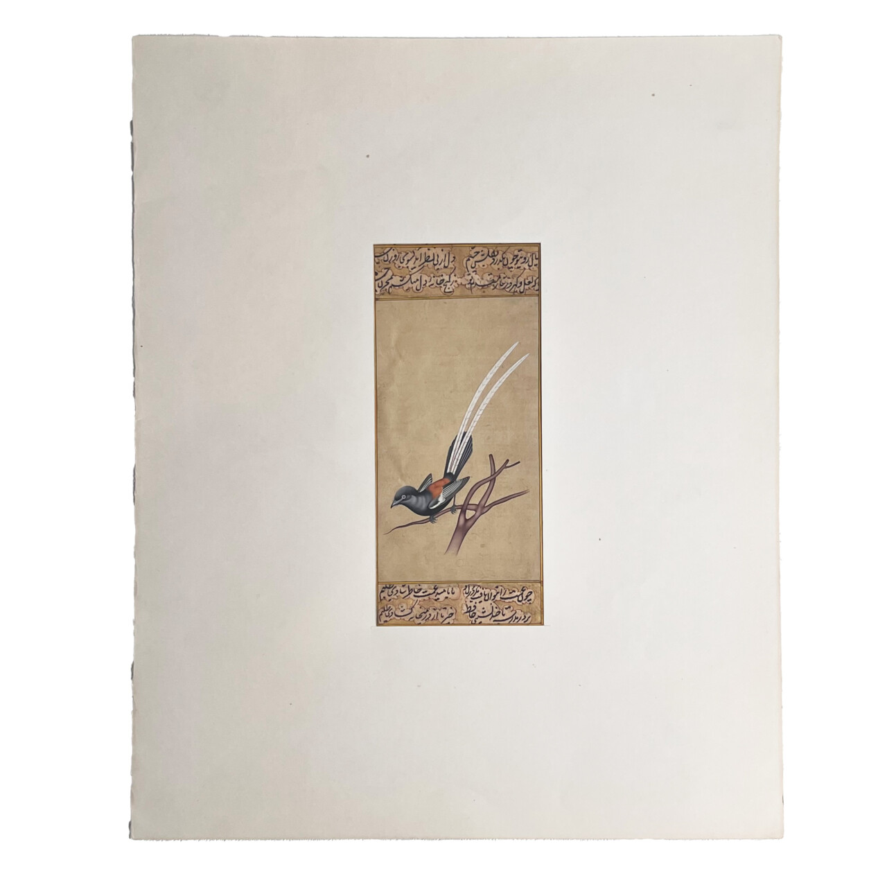 Antique Persian Bird Watercolour Painting – Book Excerpt #64834-1 Antique Persian Bird Watercolour Painting – Book Excerpt #64834-1 - Image 6