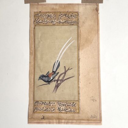 Antique Persian Bird Watercolour Painting – Book Excerpt #64834-1