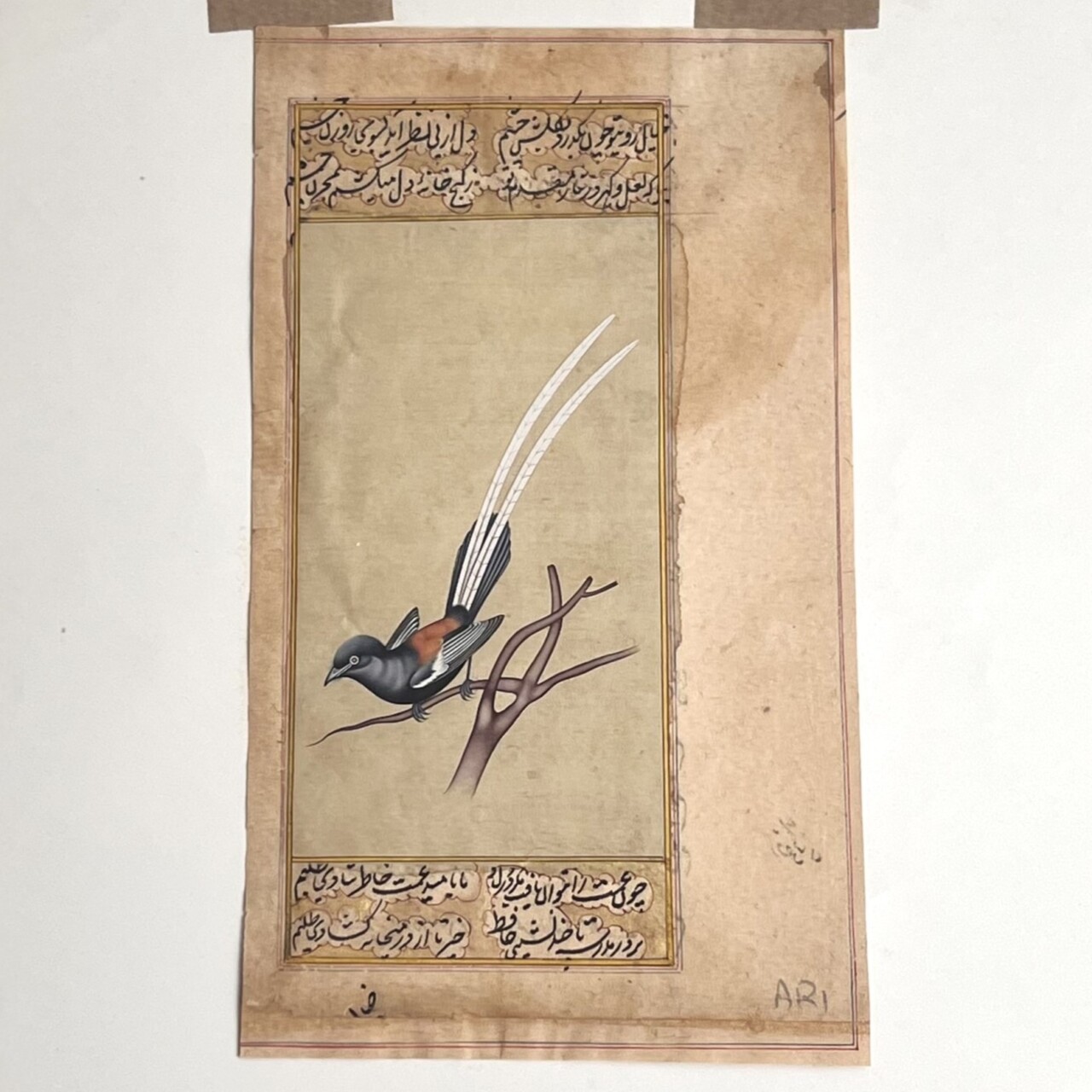 Antique Persian Bird Watercolour Painting – Book Excerpt #64834-1 Antique Persian Bird Watercolour Painting – Book Excerpt #64834-1