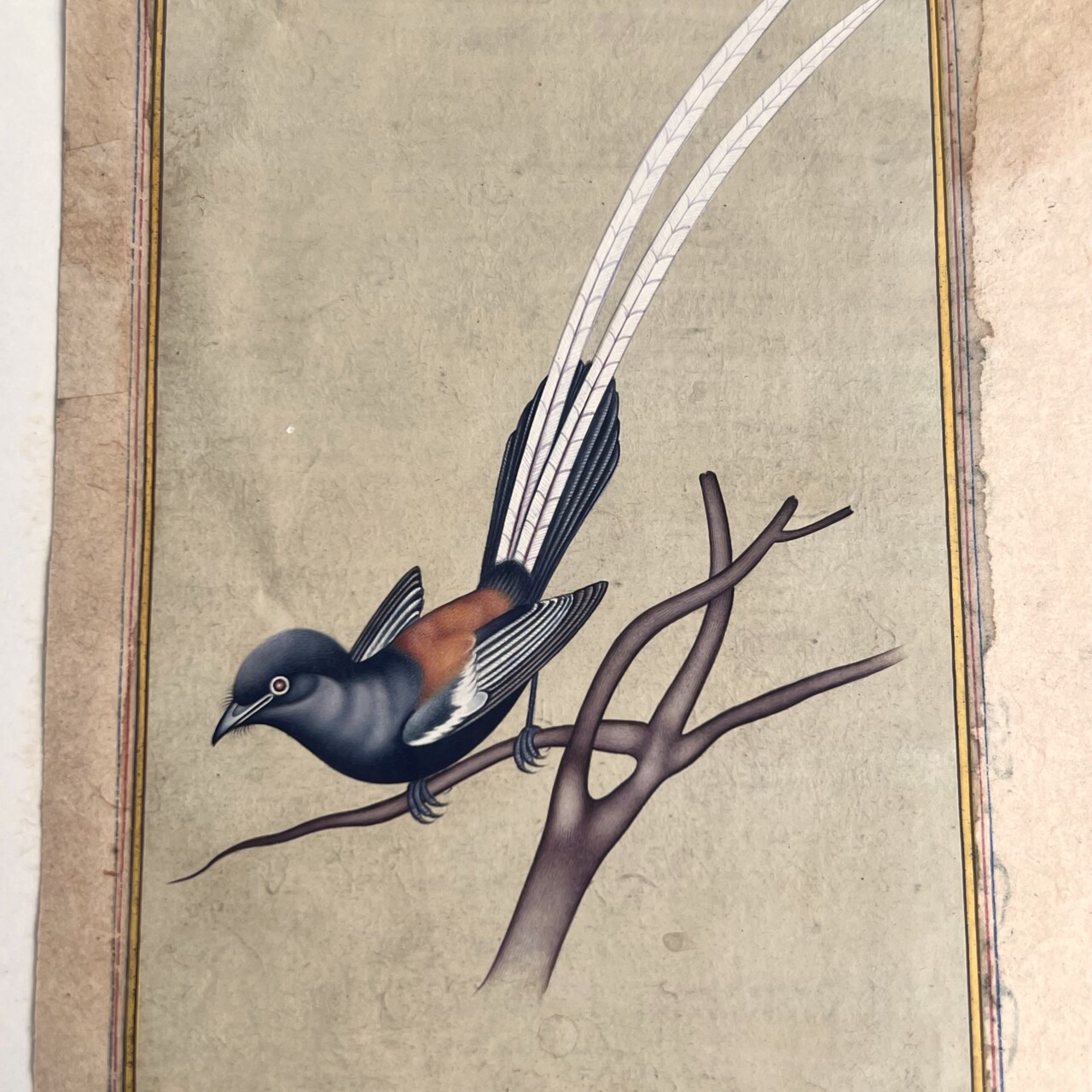 Antique Persian Bird Watercolour Painting – Book Excerpt #64834-1 Antique Persian Bird Watercolour Painting – Book Excerpt #64834-1 - Image 2