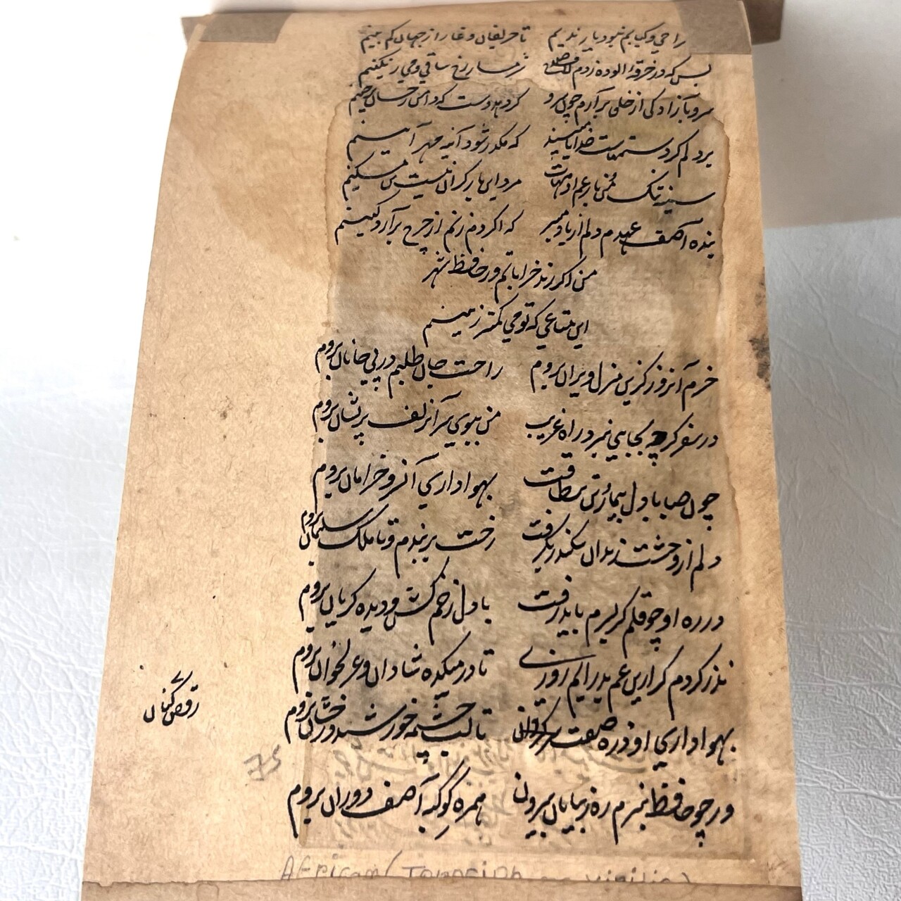 Antique Persian Bird Watercolour Painting – Book Excerpt #64834-1 Antique Persian Bird Watercolour Painting – Book Excerpt #64834-1 - Image 3