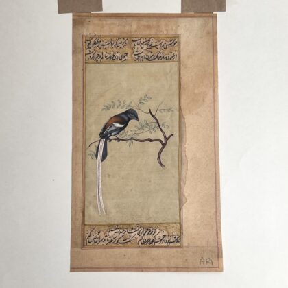 Antique Persian Bird Watercolour Painting – Book Excerpt #64834