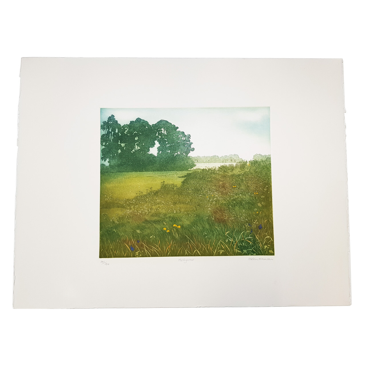 Hedgrow Large Landscape Etching by Helen Hanson Limited Edition | Hand Signed #64750 Hedgrow Large Landscape Etching by Helen Hanson Limited Edition | Hand Signed #64750