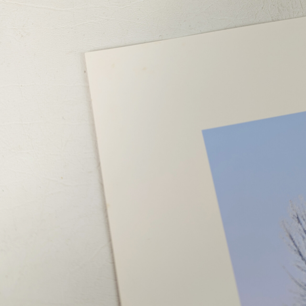 Hiroshi Shimura Winter Afternoon Trees Serigraph Limited Edition of 150 | Hand Signed #64856 Hiroshi Shimura Winter Afternoon Trees Serigraph Limited Edition of 150 | Hand Signed #64856 - Image 3