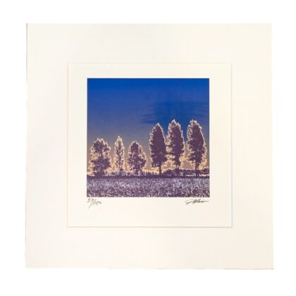Hiroshi Shimura Trees at Sunset Square Serigraph Limited to 180 | Hand Signed #64849