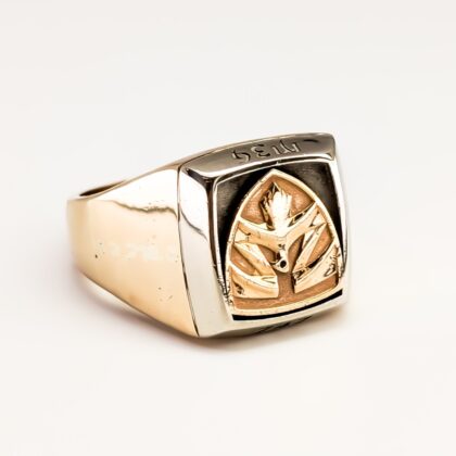 Monty's Heavy Solid 9ct Yellow Gold Military Style Signet Ring – Size Z+6 #67853