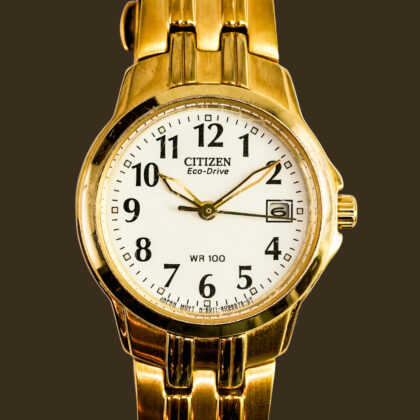 Citizen Eco-Drive E011-S064902 Gold-Tone Watch - 16cm Band #67880