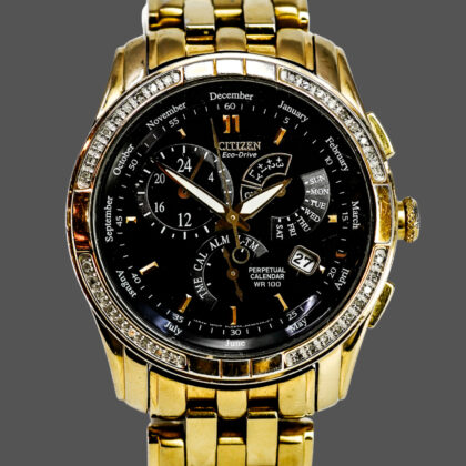 Citizen GN4WS Men’s World Time Eco-Drive 39mm Watch #69430