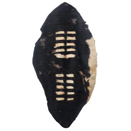 African Warrior Hide Shield | Traditional Tribal Decor | Handcrafted Wall Display #70701
