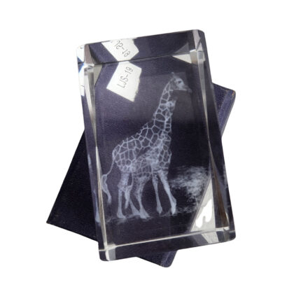 3D Laser Etched Giraffes Crystal Glass Paperweight | Wildlife Design | New in Presentation Box #71217-1