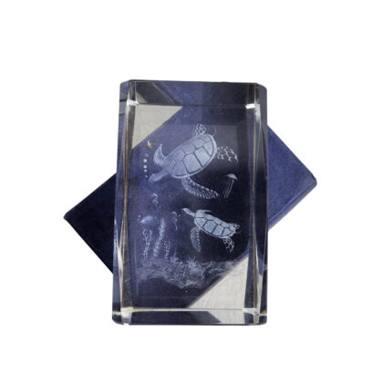 3D Laser Etched Sea Turtles Crystal Glass Paperweight | Underwater Marine Life | Presentation Box #71217-4