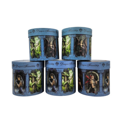Monty's Anne Stokes Dragon Friendship Gothic Fantasy Bone China Mug Collection | Set of 5 | New in Box #71023