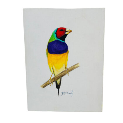 Gouldian Finch Australian Bird Acrylic Painting by Bela Grof 20 x 15cm #71582-2