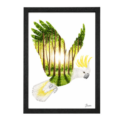 Signed Australian Sulphur-Crested Cockatoo Watercolour Painting | 45 x 32.5cm #71570-3